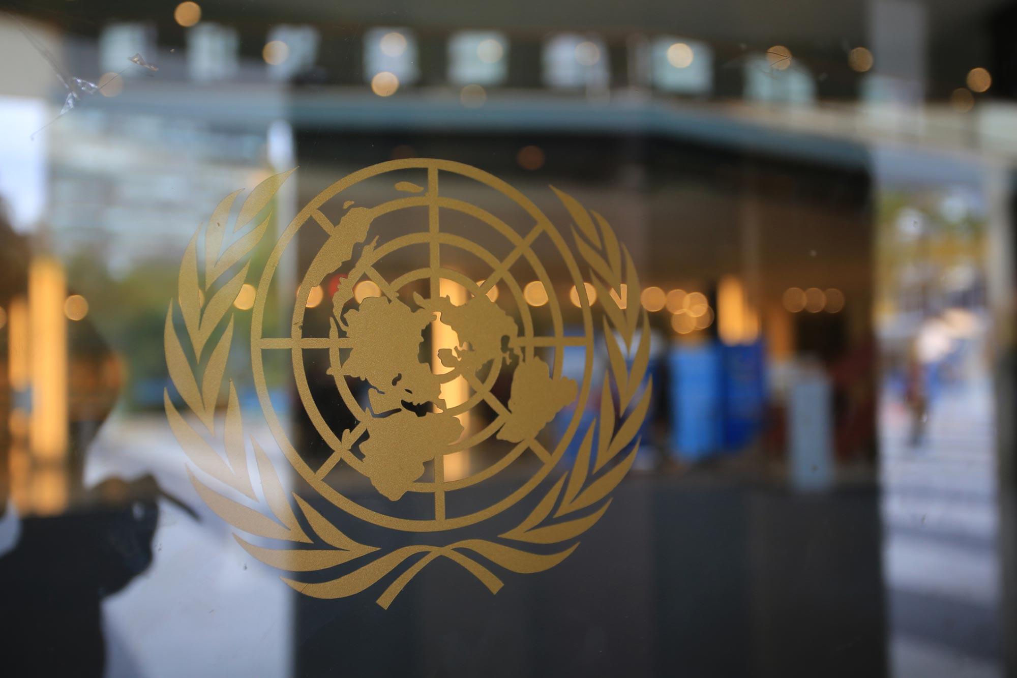 En glasdörr med lgotypen för FN Förenta Nationernas jordglob och olivkvist Akavia Aspekt