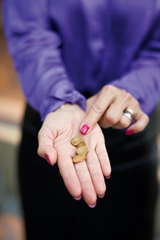 Bönorna av sorten Hangdown (Vicia faba) är rika på protein,  mineraler, vitaminer och fibrer och kan användas i bland annat soppor och sallader.Foto: Martin Sörbo.